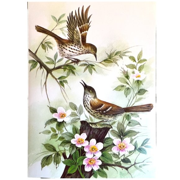 Vtg GREETING CARDS "Winged Beauties" Watercolor Birds Embossed Full Set Ephemera - Picture 10 of 15